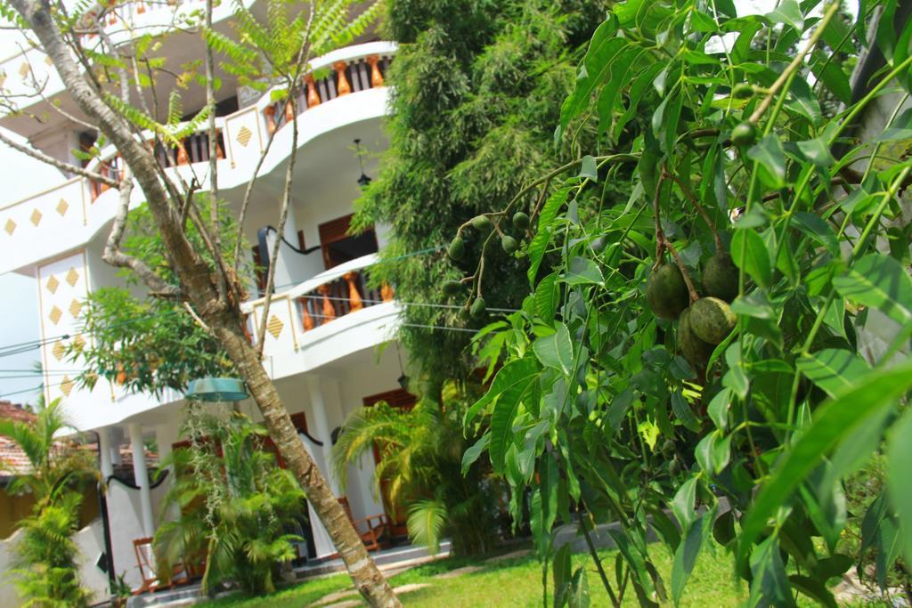 Hotel Orchid Rest Mirissa Zewnętrze zdjęcie